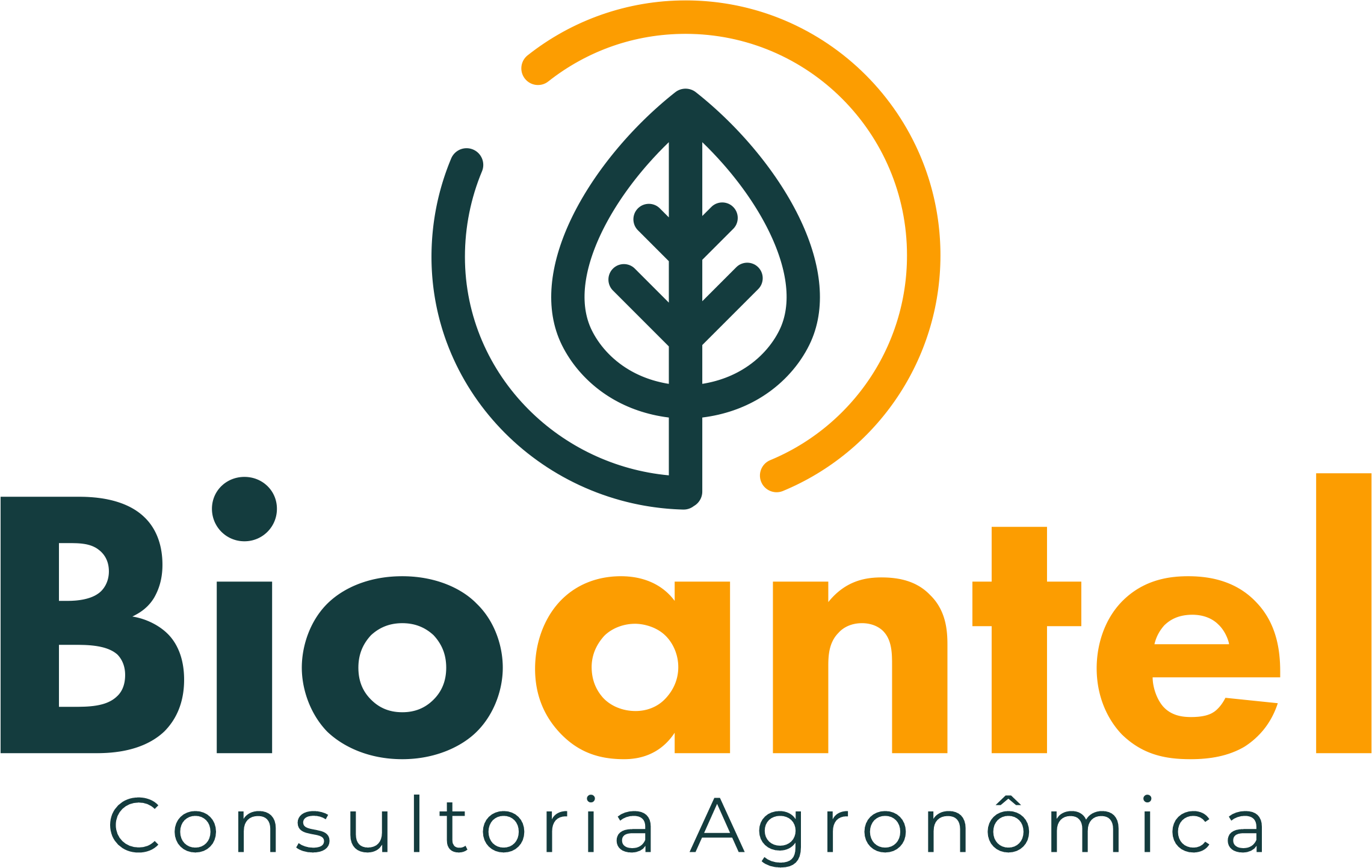 logo fundo transparente